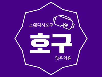 스웨디시에서호구가많은이유 5가지 알려줄게